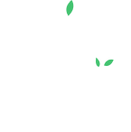 FindNest